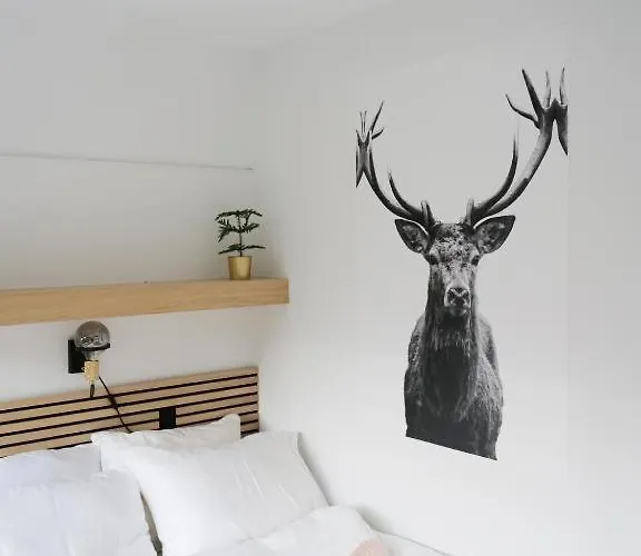 Haus Heidi - Luxurious Near Skilift Apartment *