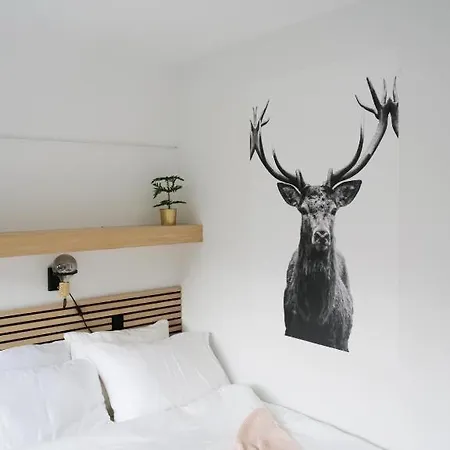 Haus Heidi - Luxurious Near Skilift Apartmán *